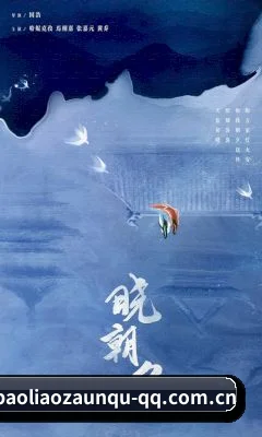爆料专区 APP